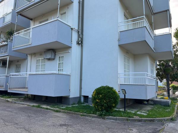 immagine annuncio 8 di 11