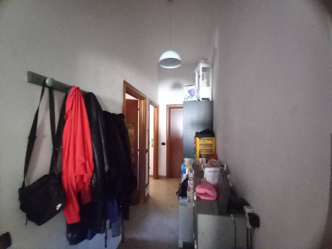 immagine annuncio 1 di 14