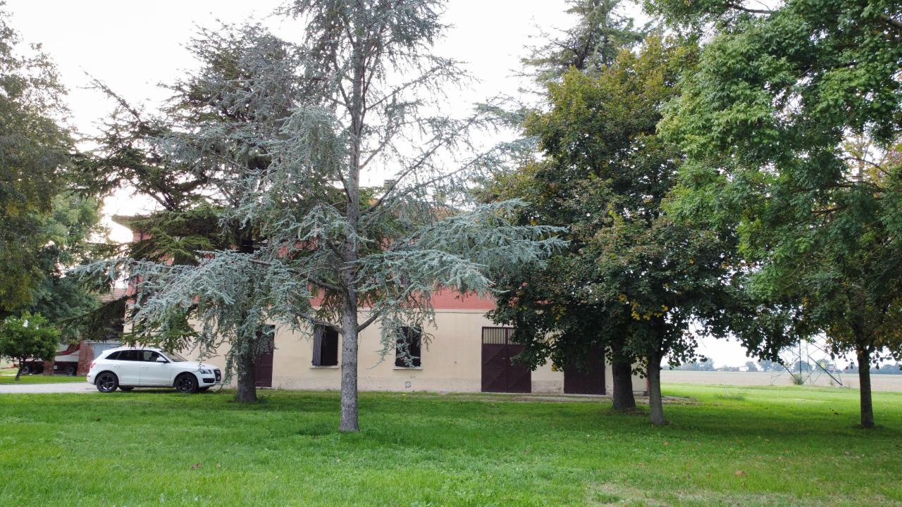 immagine annuncio 10 di 14