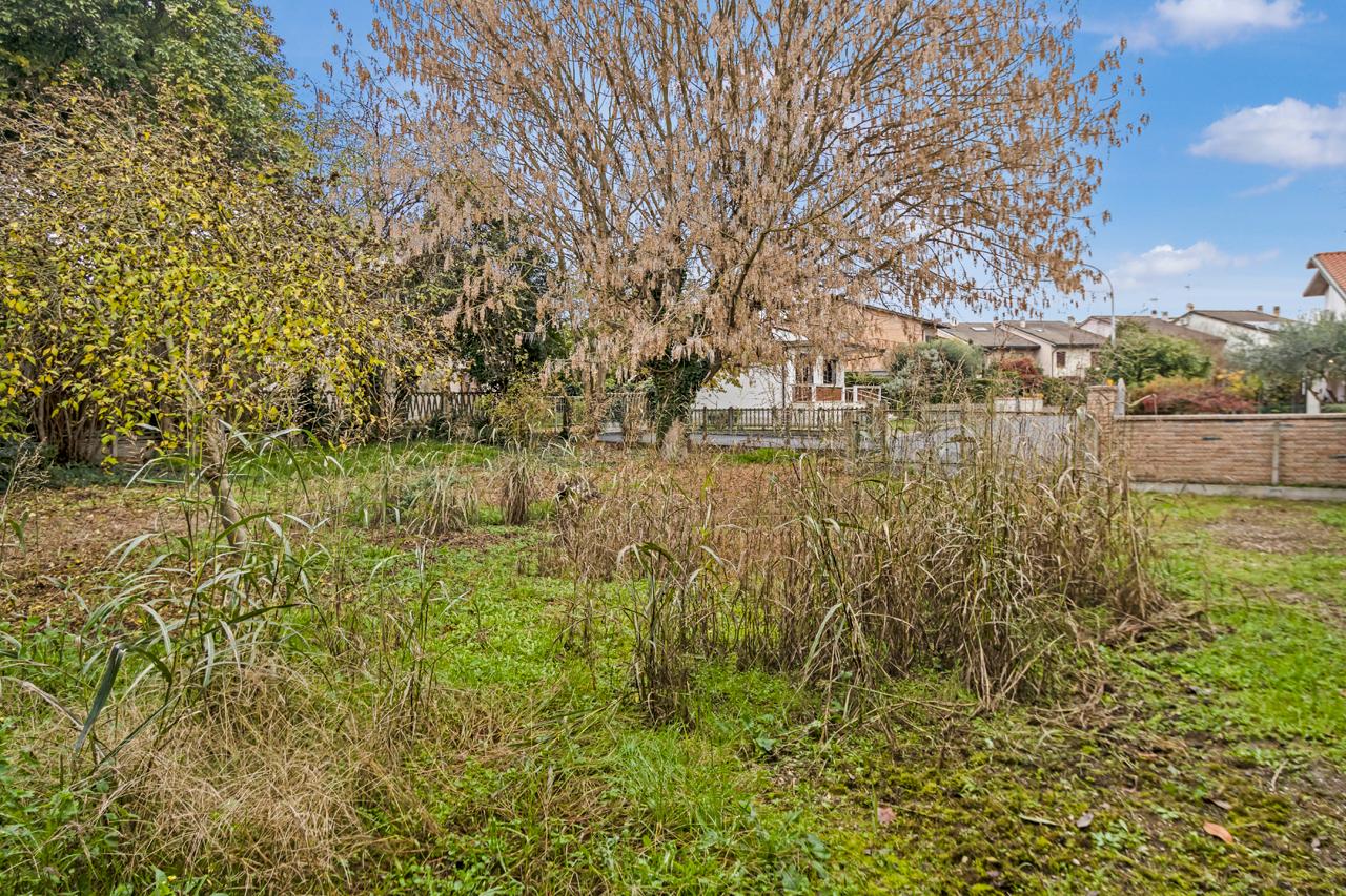 immagine annuncio 11 di 15