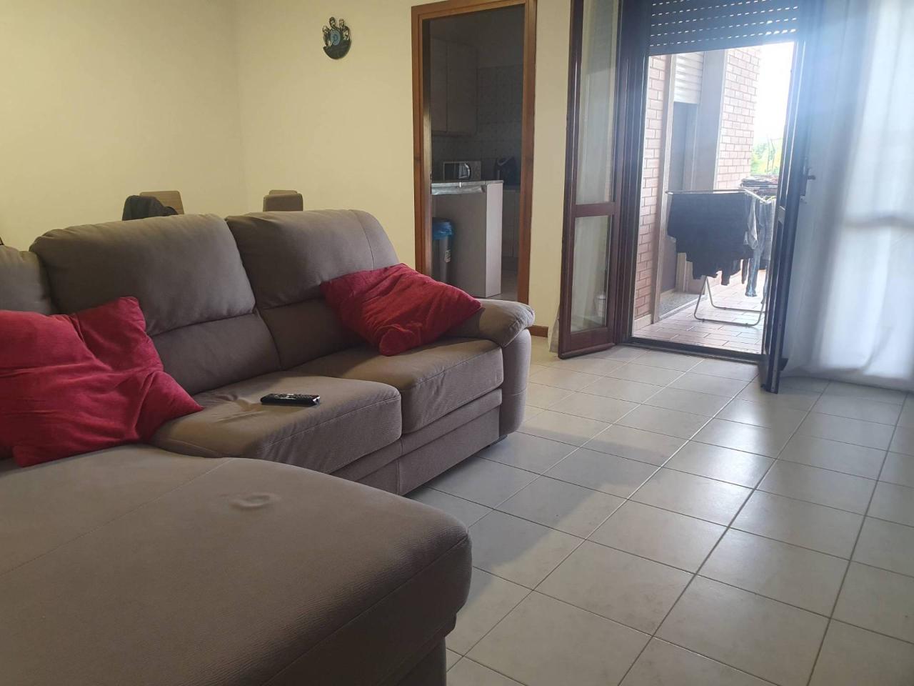 immagine annuncio 3 di 11