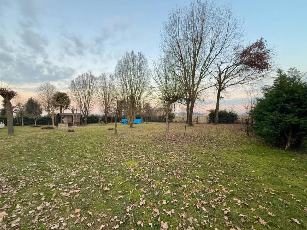 immagine annuncio 3 di 11