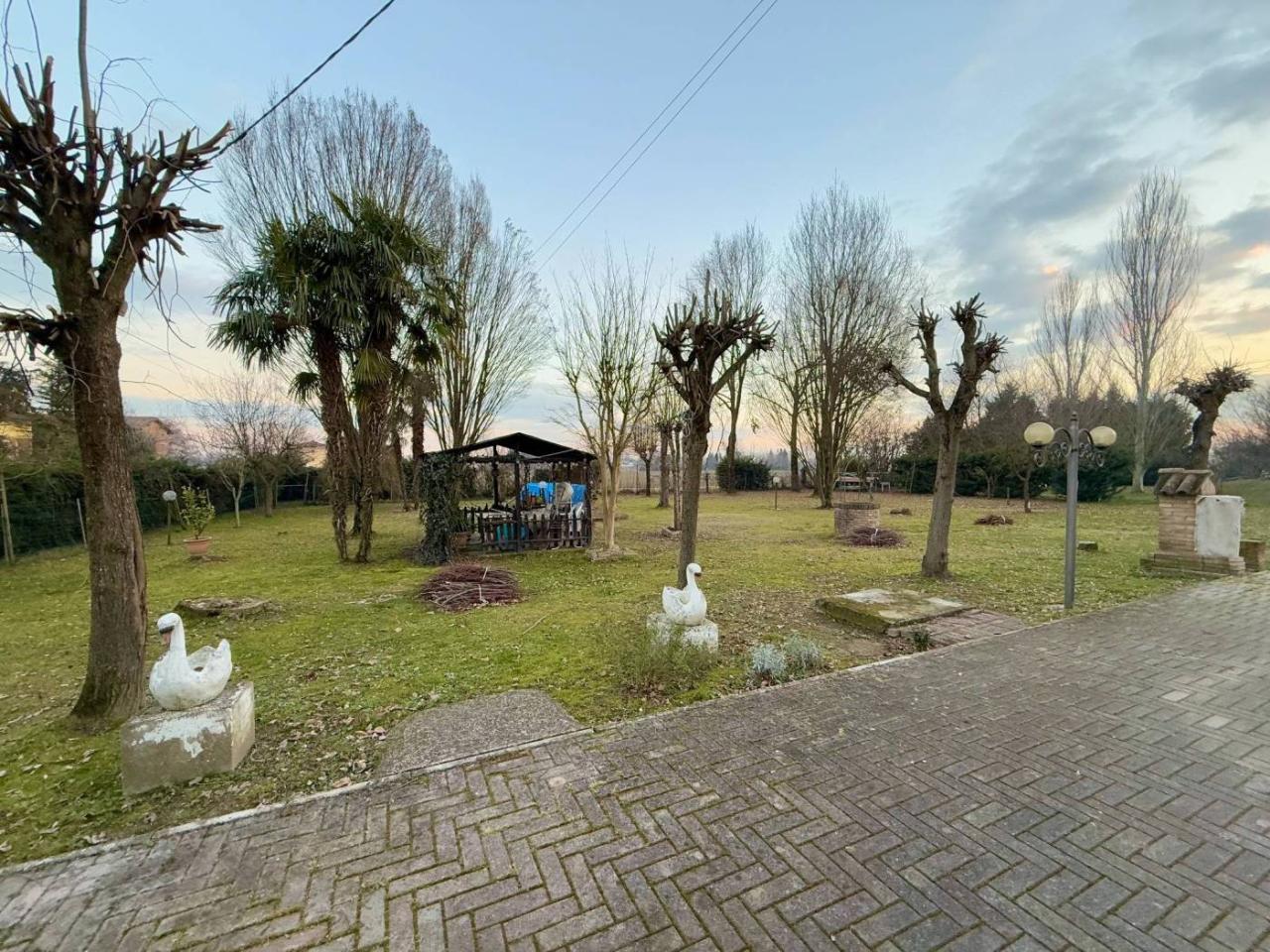 immagine annuncio 1 di 11