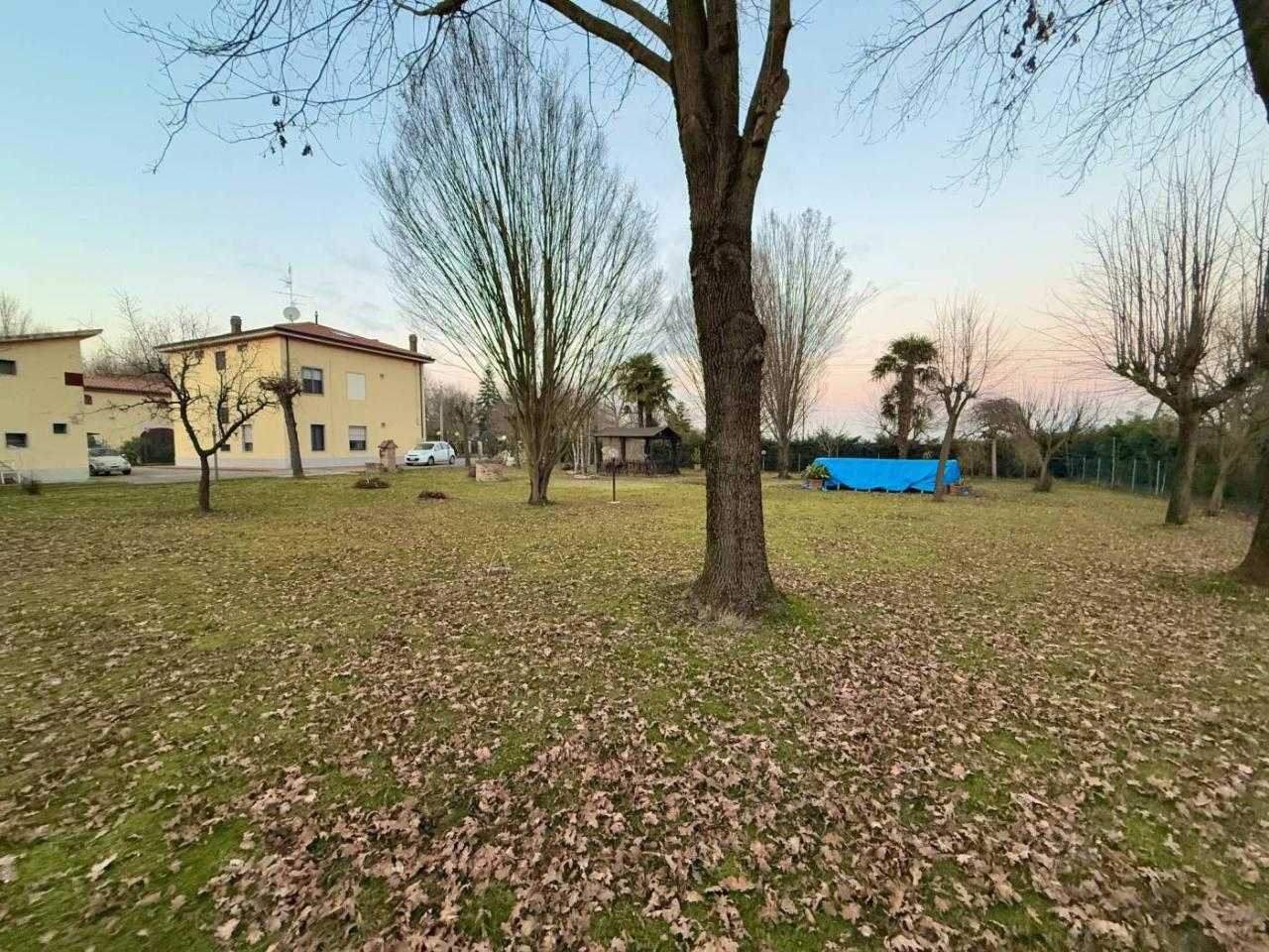 immagine annuncio 4 di 11