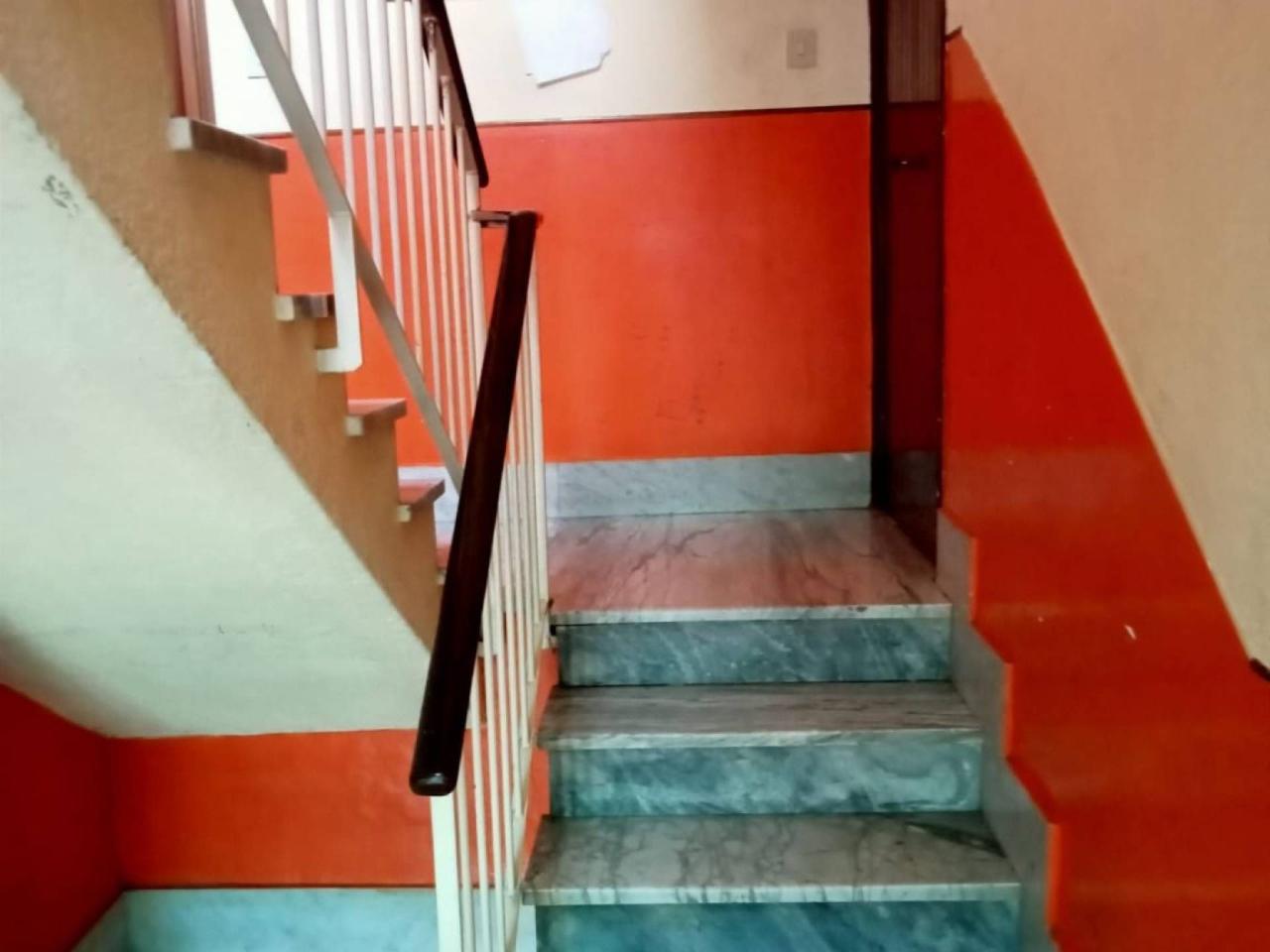 immagine annuncio 2 di 14