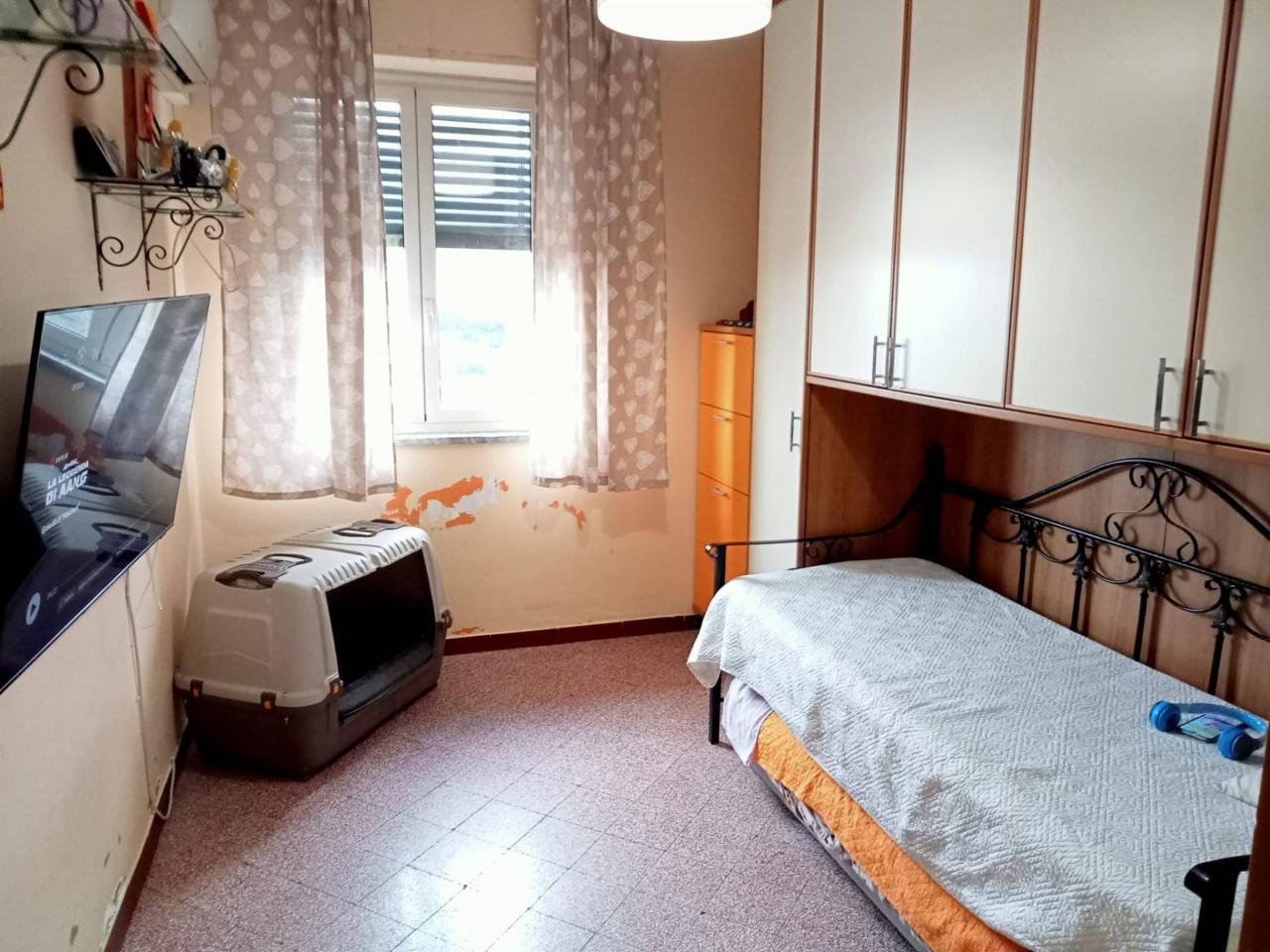 immagine annuncio 11 di 14