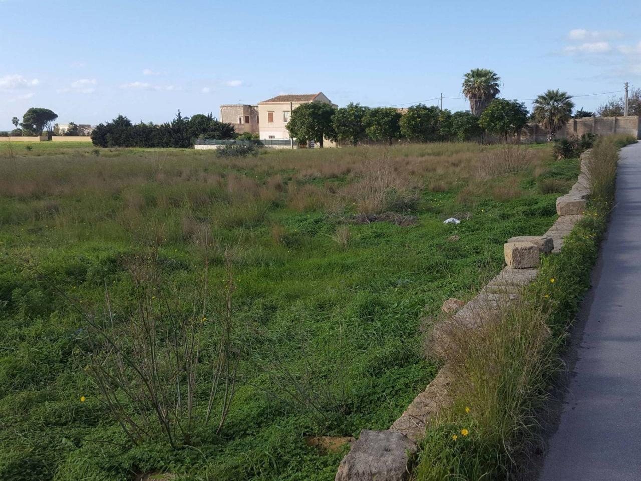 immagine annuncio 10 di 12