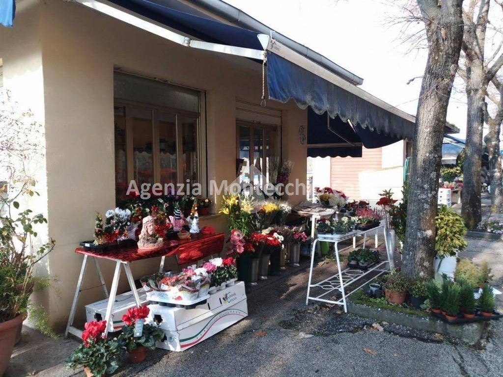 Esercizio commerciale in , Vallefoglia, {3} - Foto 1
