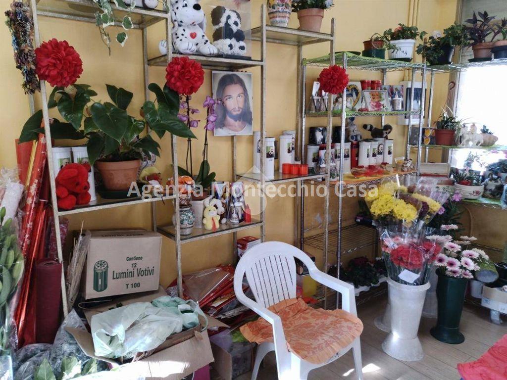 Esercizio commerciale in , Vallefoglia, {3} - Foto 2