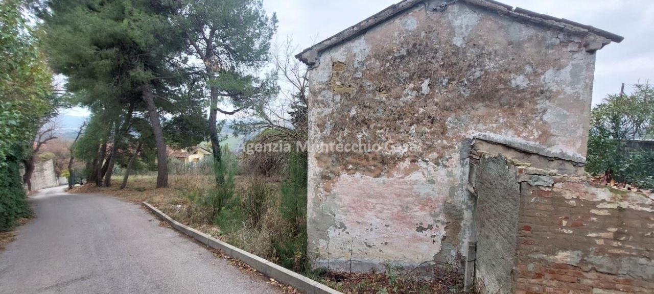 immagine annuncio 3 di 6