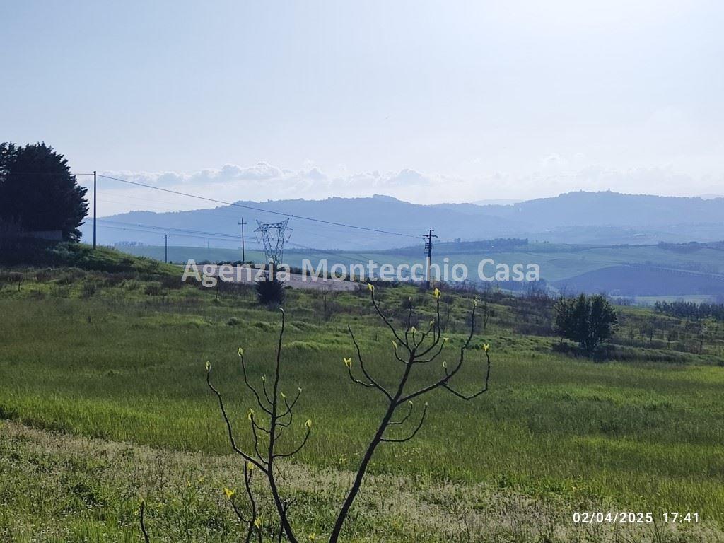 immagine annuncio 5 di 11