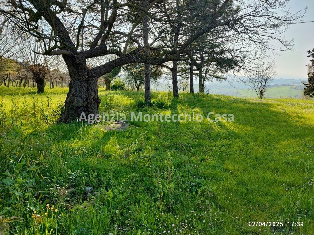 immagine annuncio 3 di 11