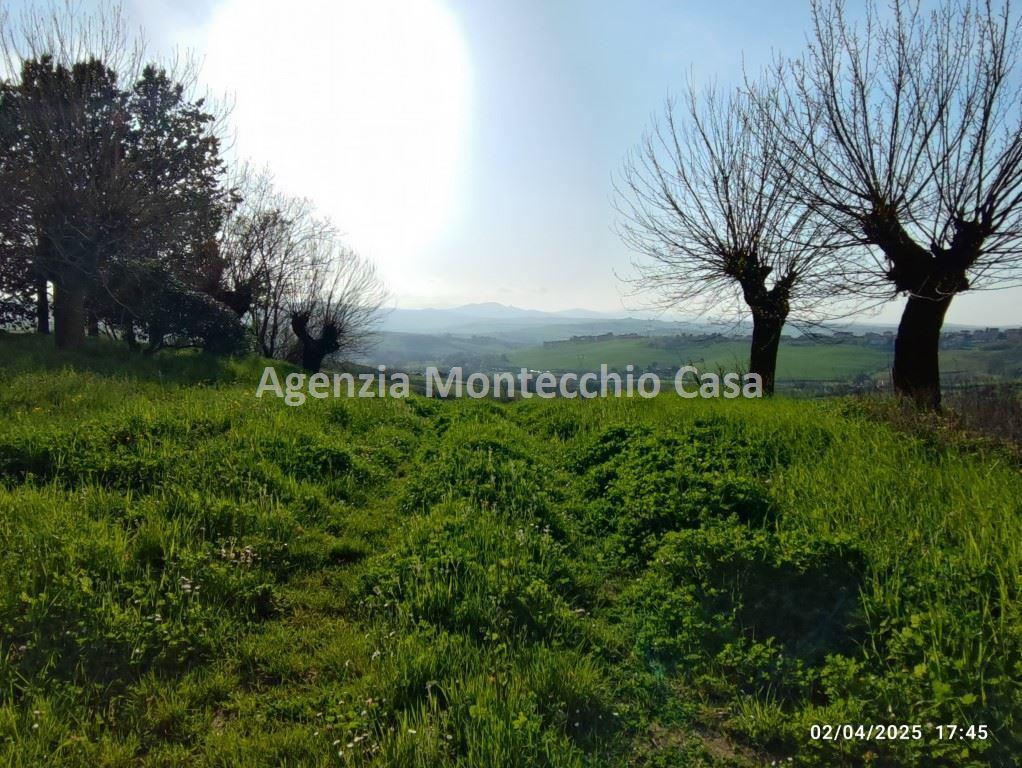 immagine annuncio 7 di 11