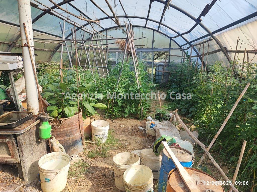 immagine annuncio 1 di 14