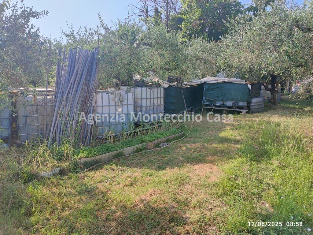 immagine annuncio 3 di 14