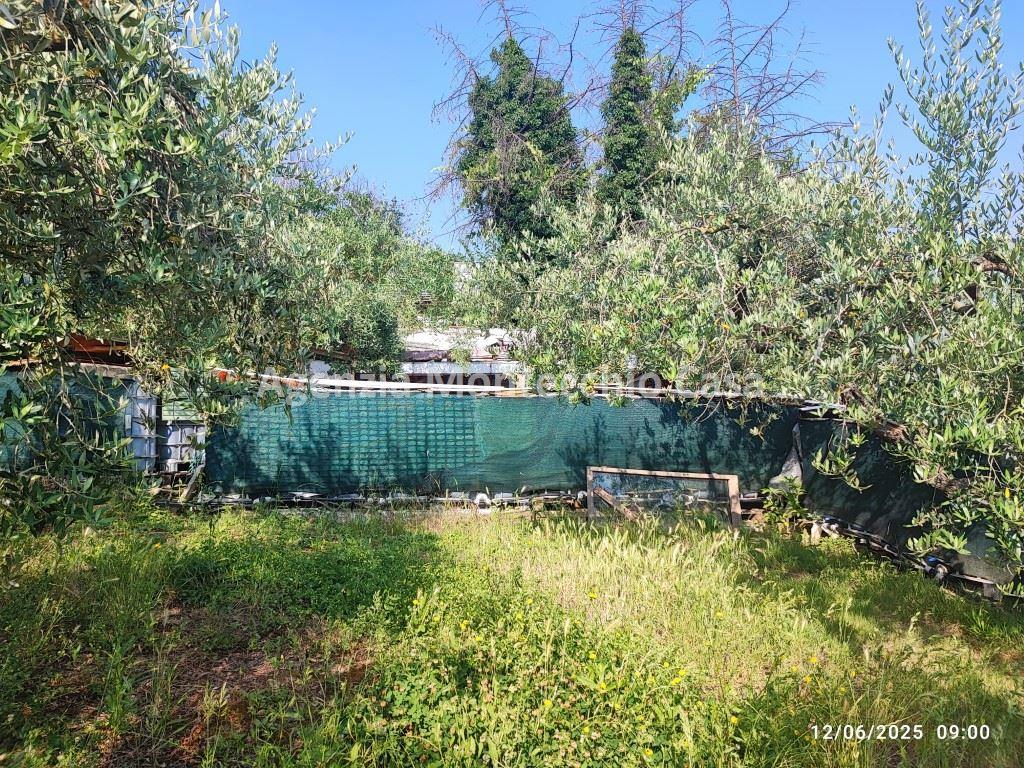 immagine annuncio 5 di 14