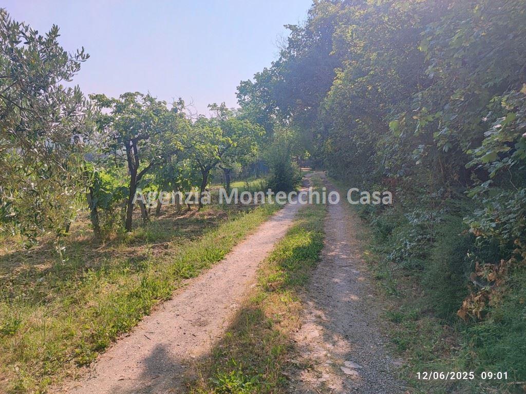 immagine annuncio 7 di 14