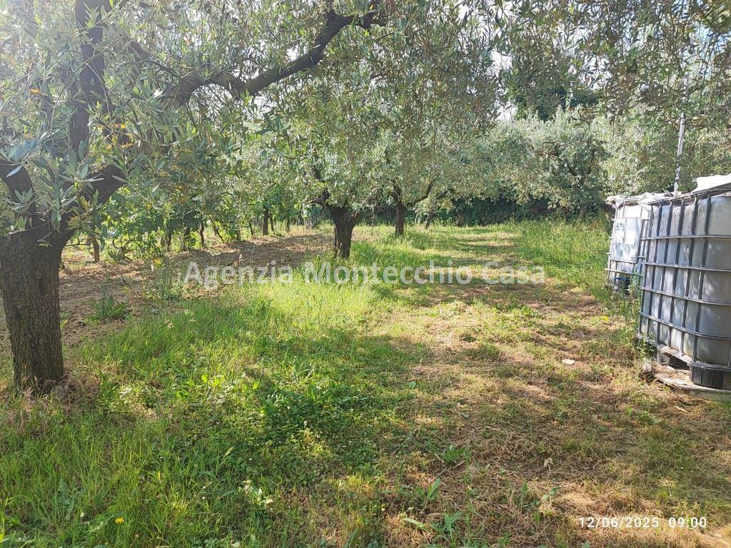 immagine annuncio 6 di 14