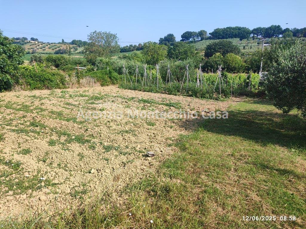 immagine annuncio 4 di 14