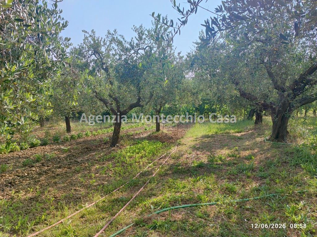 immagine annuncio 2 di 14