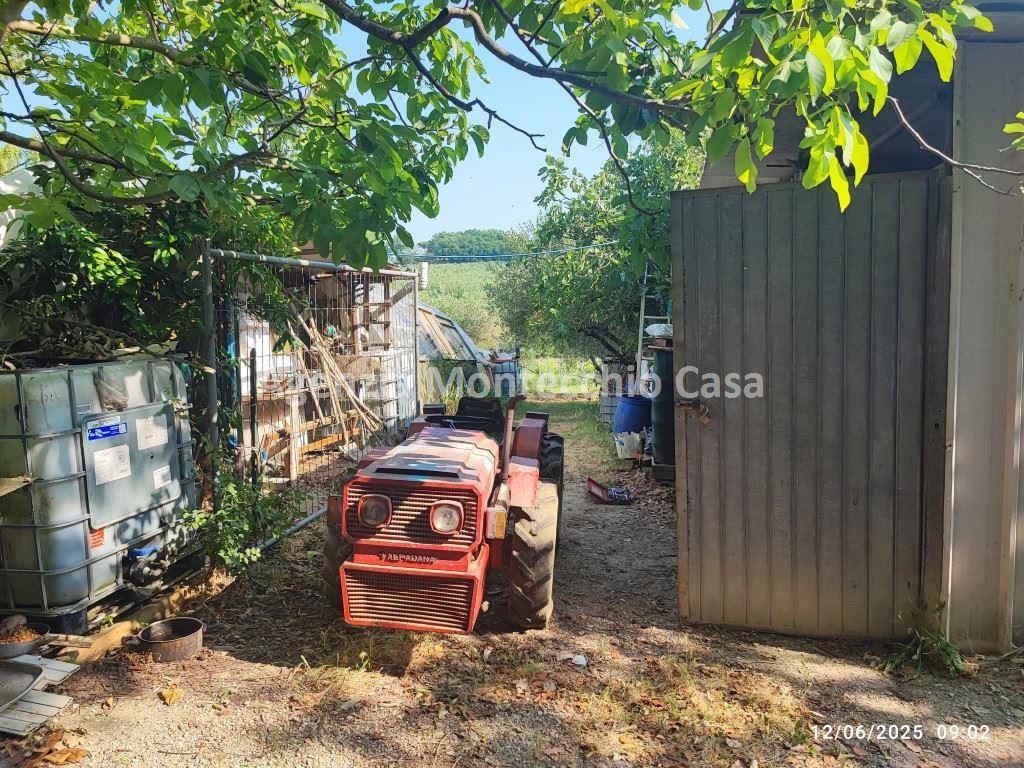 immagine annuncio 9 di 14