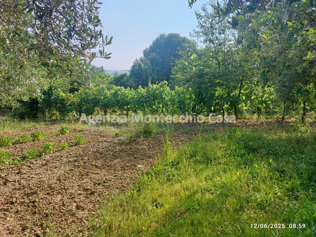 immagine annuncio 11 di 14