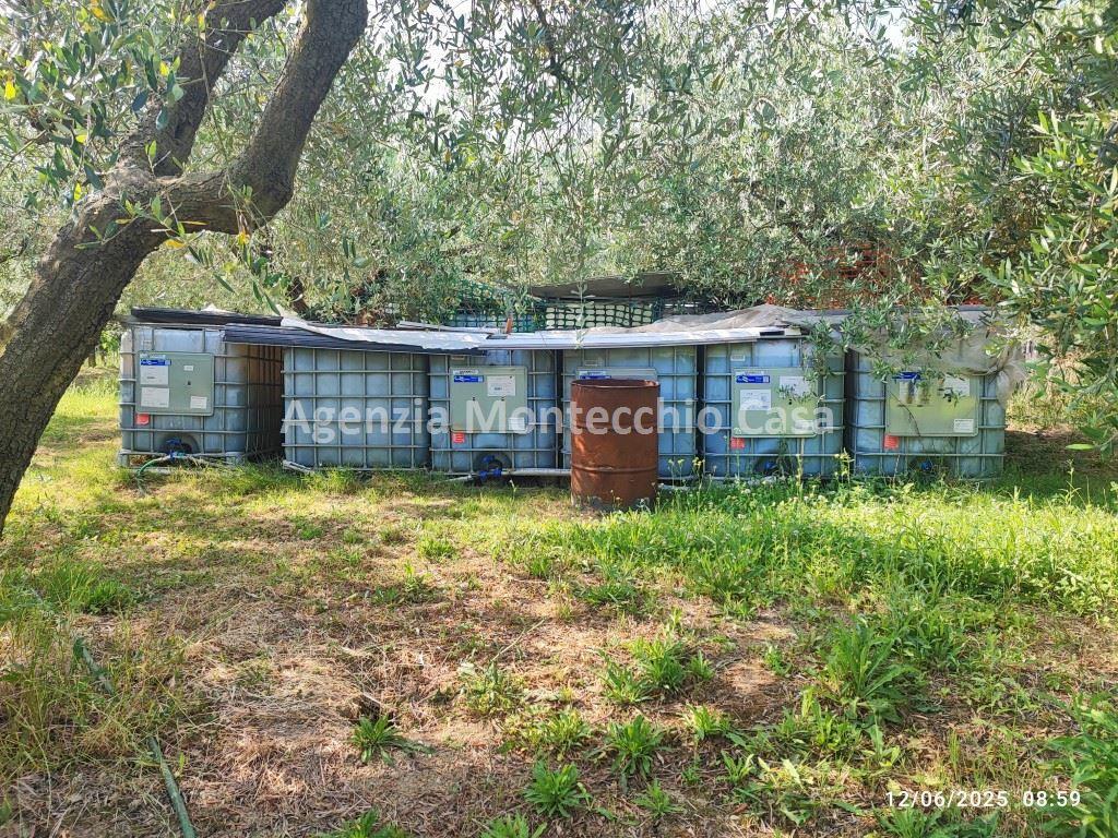 immagine annuncio 10 di 14