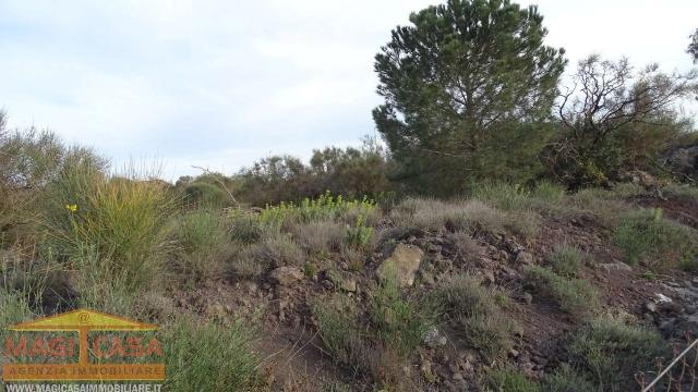 Terreno agricolo in Viale dello Sport, Camporotondo Etneo - Foto 1