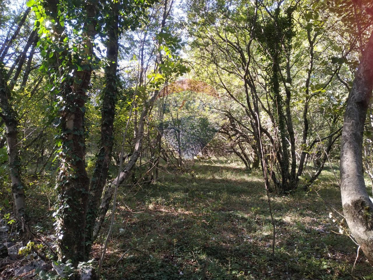 Terreno agricolo in vendita a Trieste