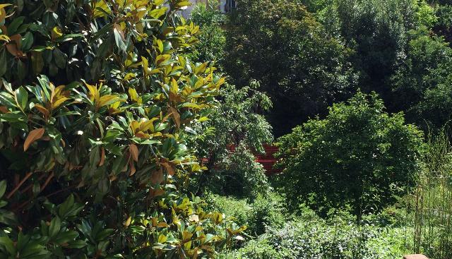 Einfamilienhaus in Via Toselli, Firenze - Foto 1