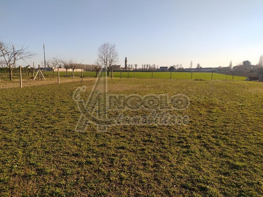 Terreno edificabile industriale in vendita a Pontecchio Polesine