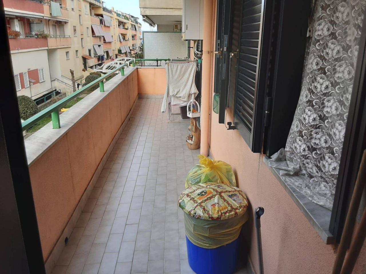 immagine annuncio 6 di 12