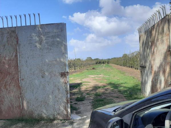 immagine annuncio 3 di 6