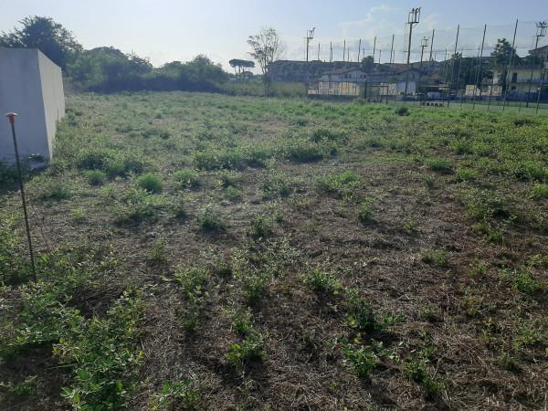 immagine annuncio 5 di 6