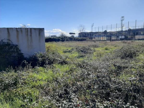 immagine annuncio 2 di 7