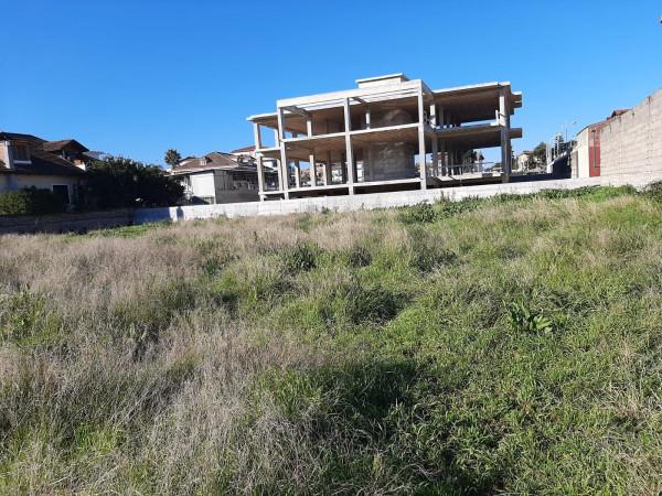 immagine annuncio 6 di 7