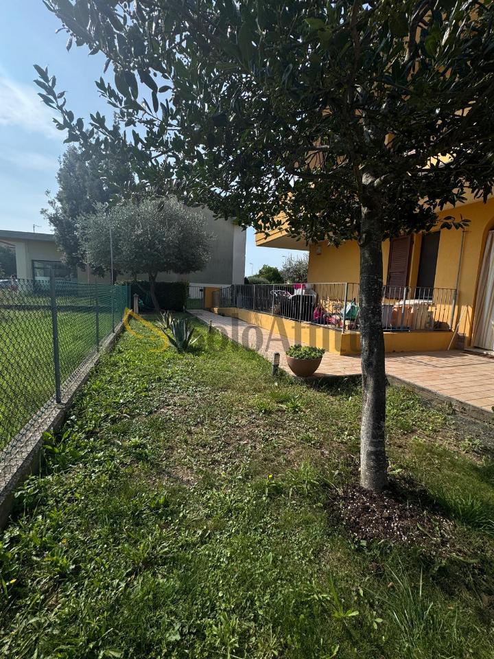 immagine annuncio 9 di 12