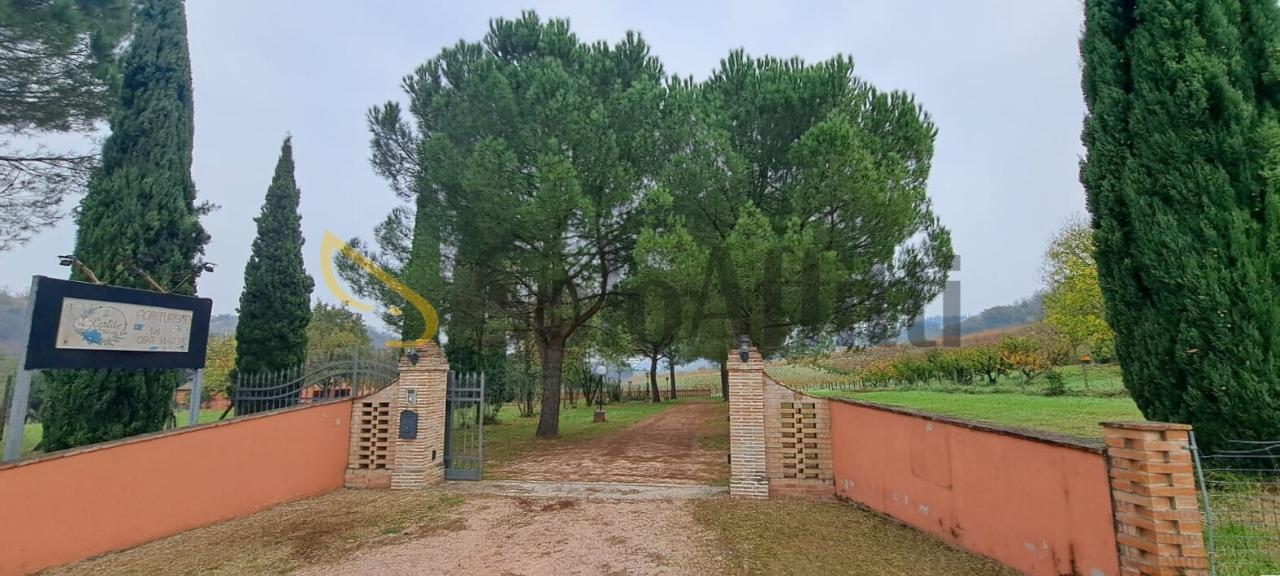Negozio in , Montiano, {3} - Foto 1