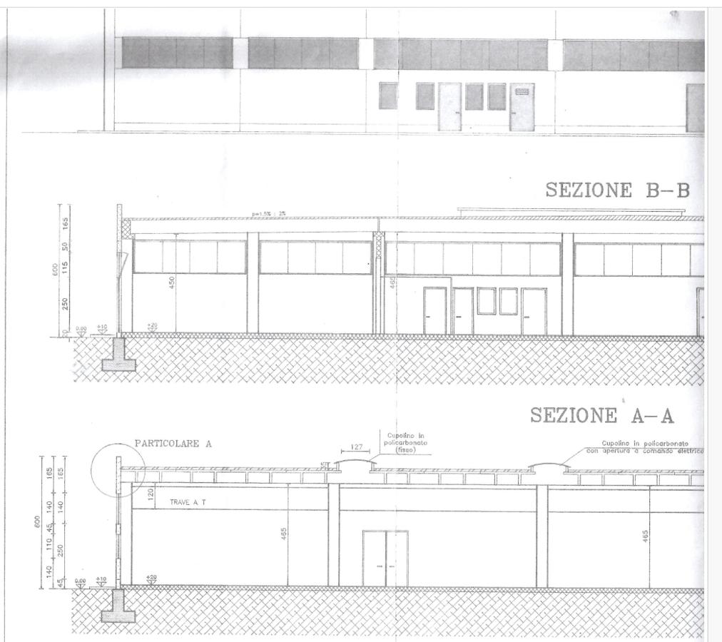 Capannone in Cavarzere   Via dei Martiri 59, Cavarzere, {3} - Planimetria 1