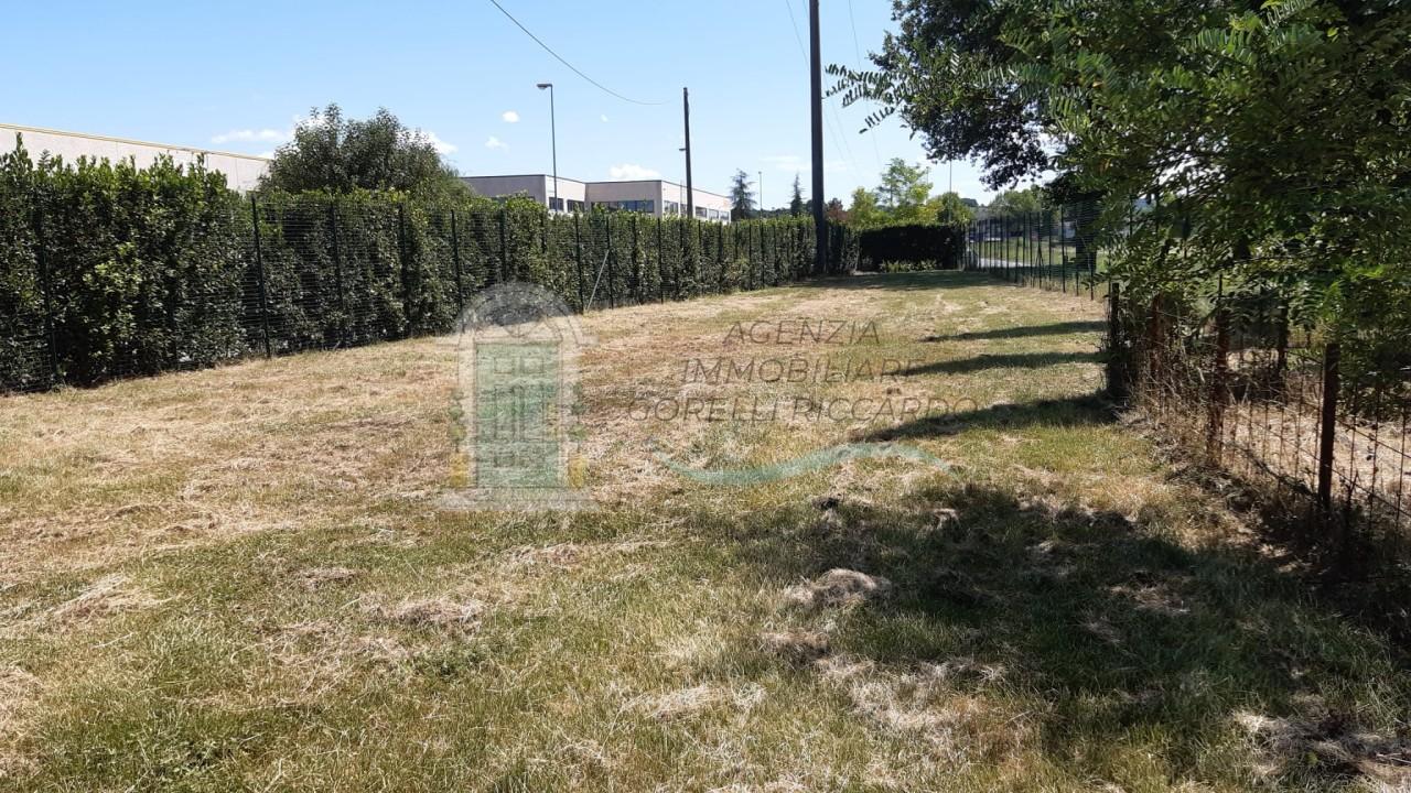 immagine annuncio 10 di 11