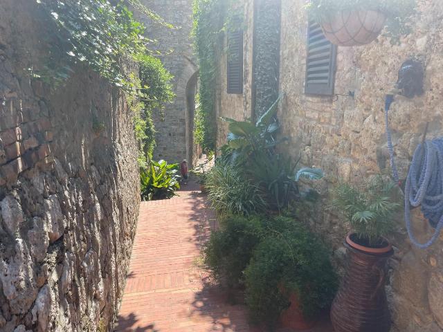 Doppelhaushälfte, San Gimignano - Foto 1