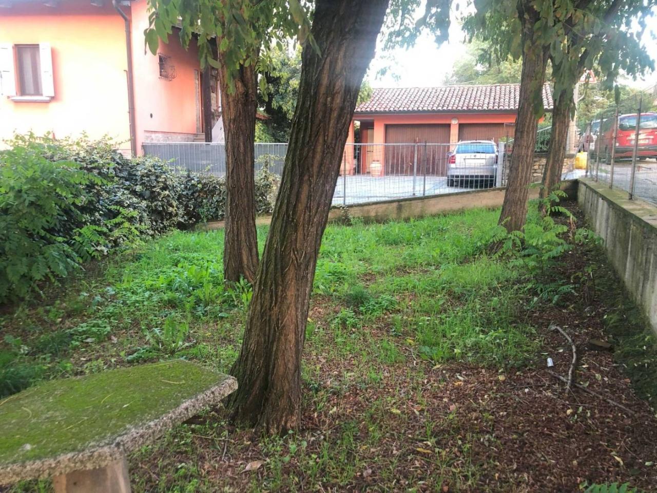 immagine annuncio 7 di 12