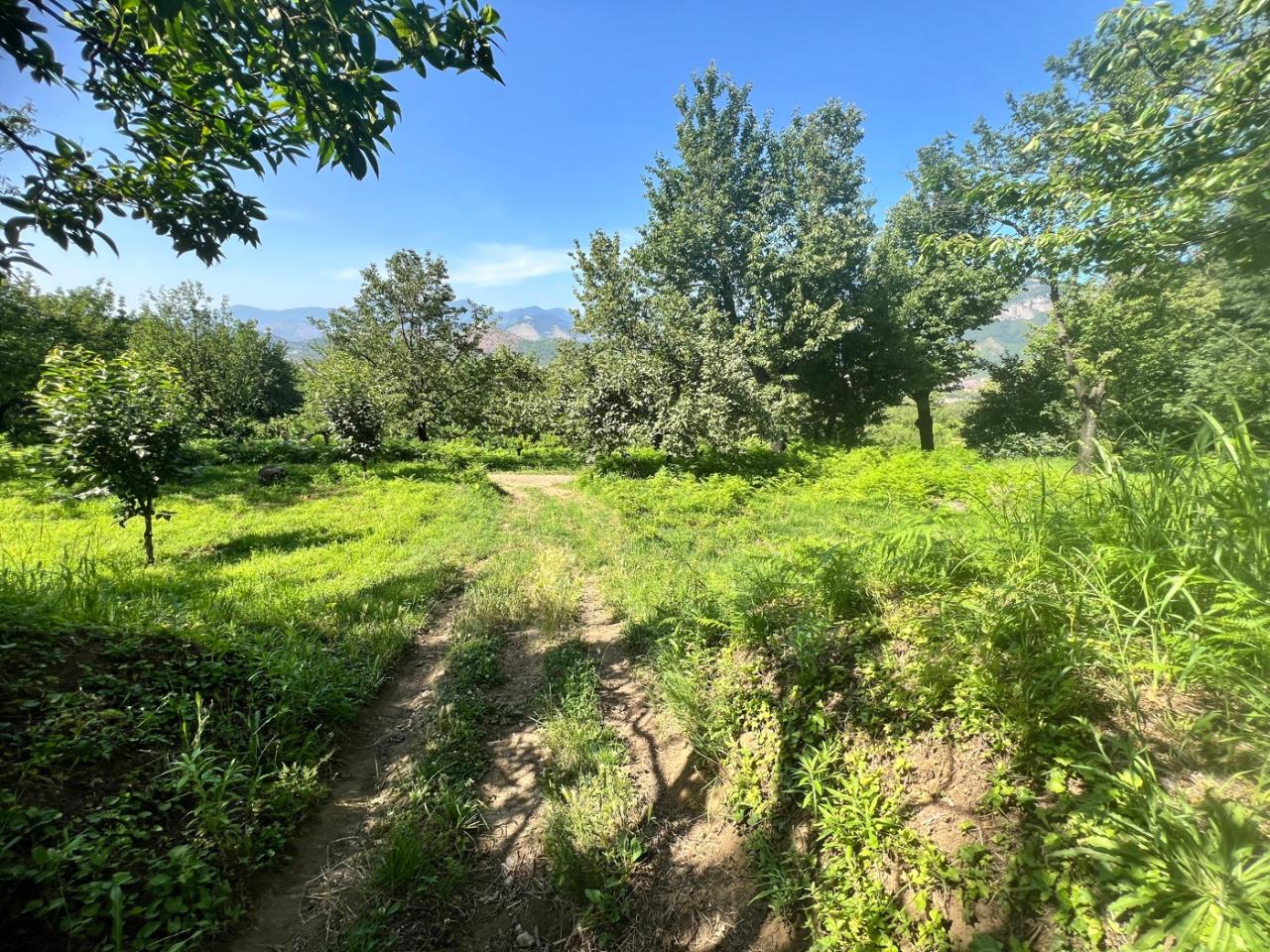 immagine annuncio 8 di 13