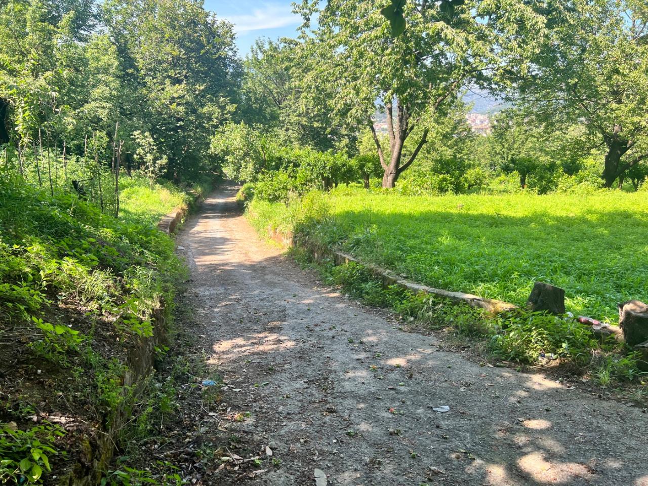 immagine annuncio 9 di 13