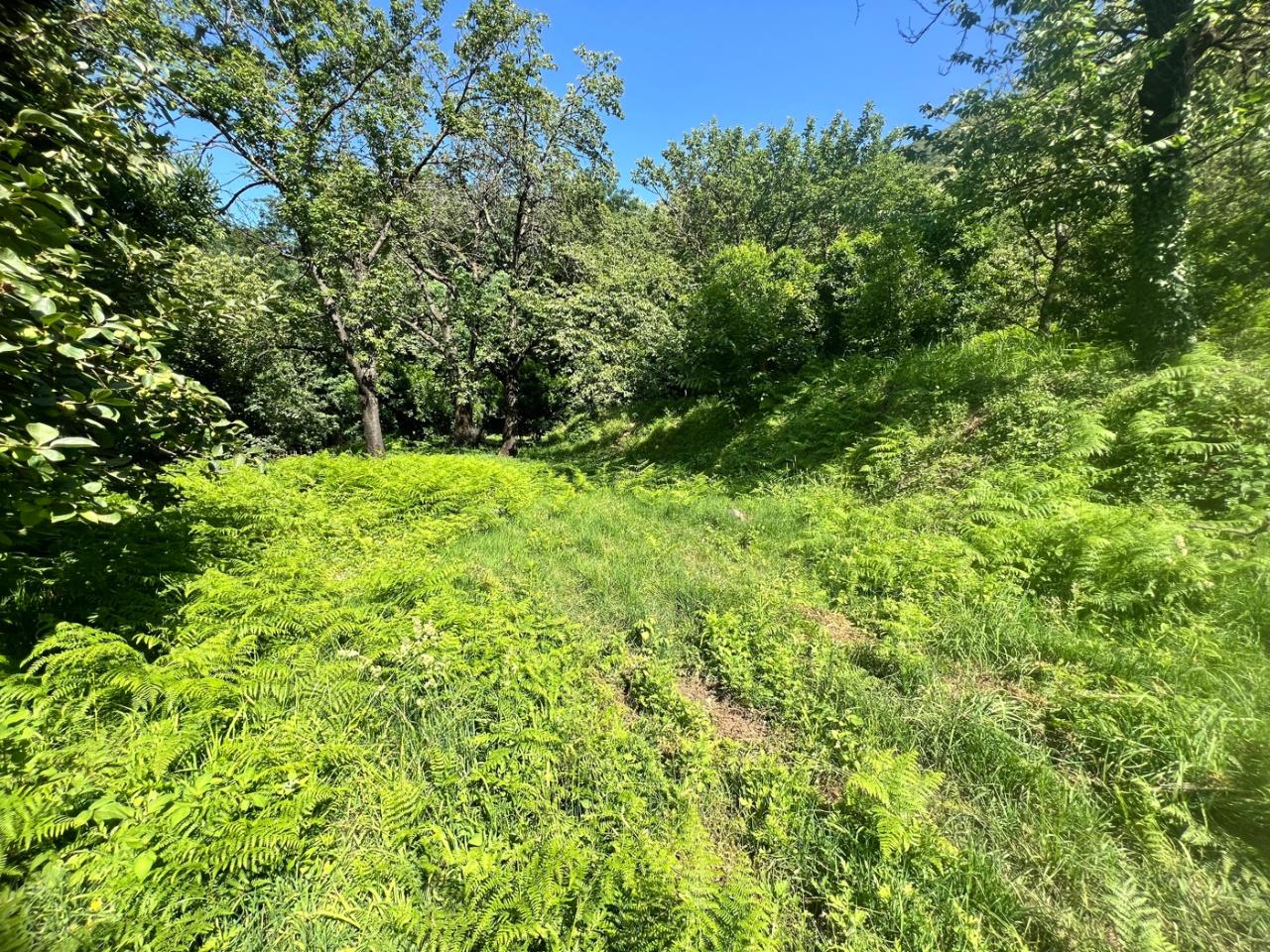 immagine annuncio 4 di 13