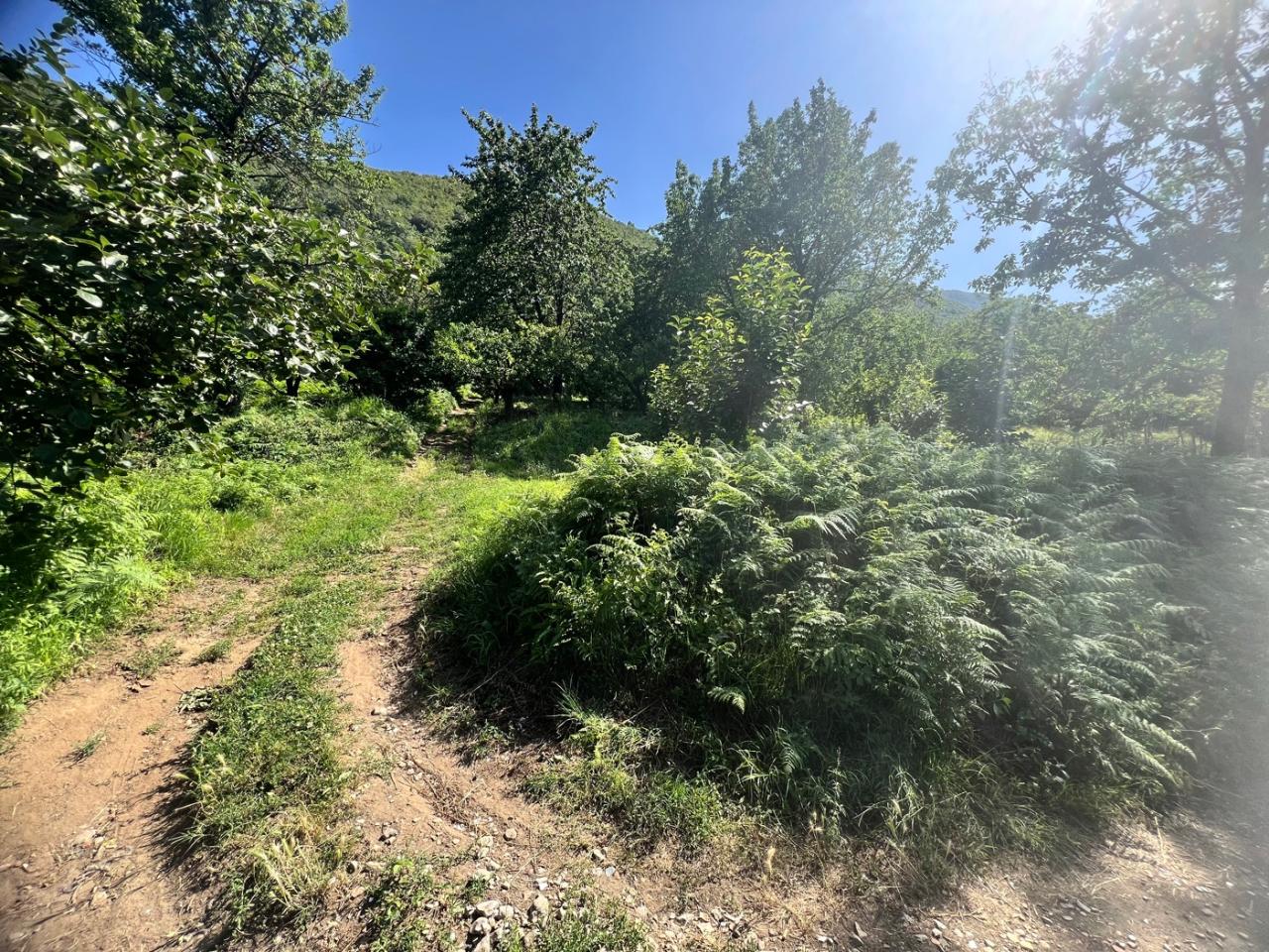 immagine annuncio 2 di 13