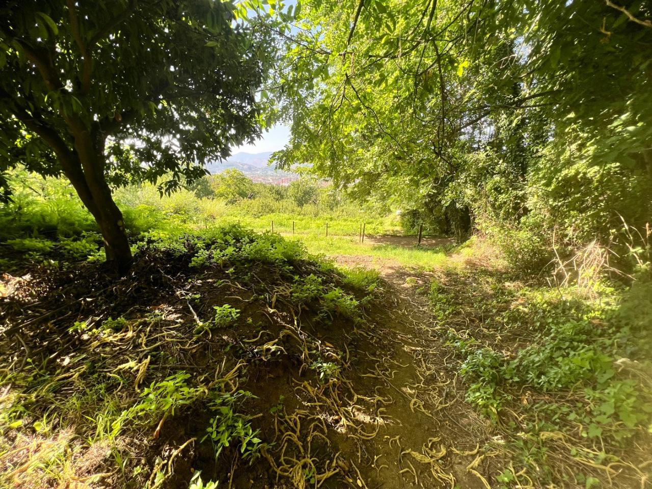 immagine annuncio 11 di 13