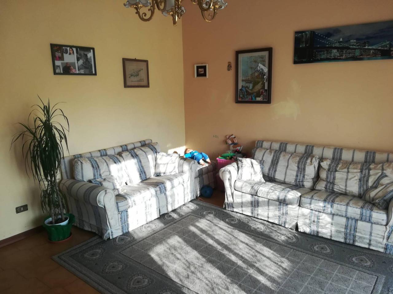 immagine annuncio 5 di 8