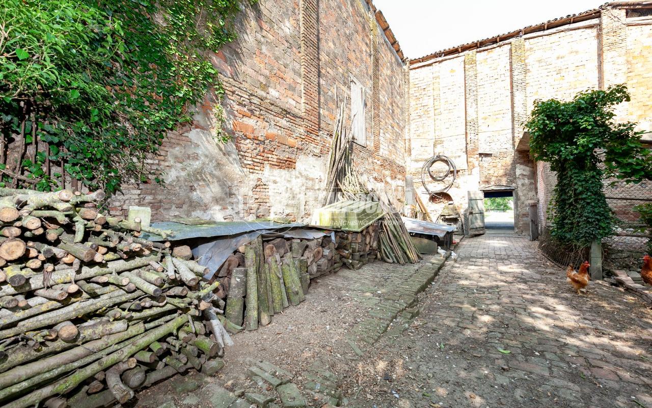 immagine annuncio 2 di 11