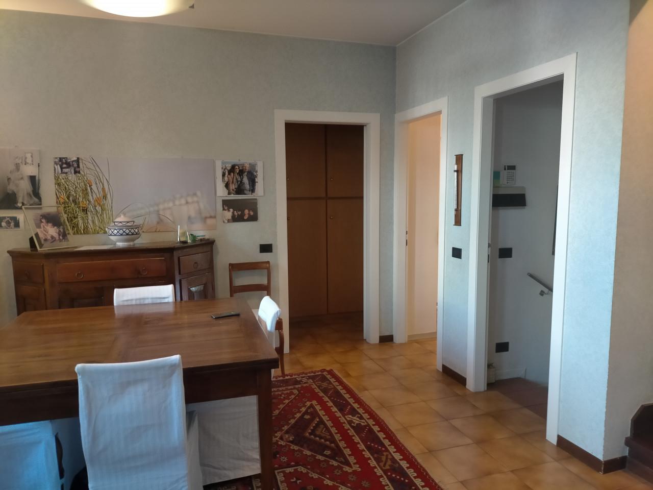 immagine annuncio 3 di 12